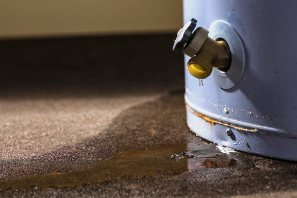 Best Water damage restoration near me  in Dundee, FL
