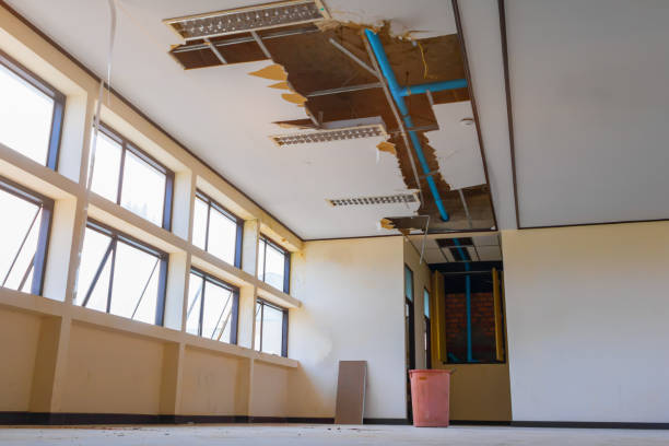Best Residential water damage restoration  in Dundee, FL
