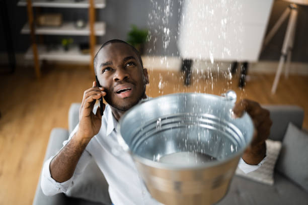 Best Ceiling water damage repair  in Dundee, FL