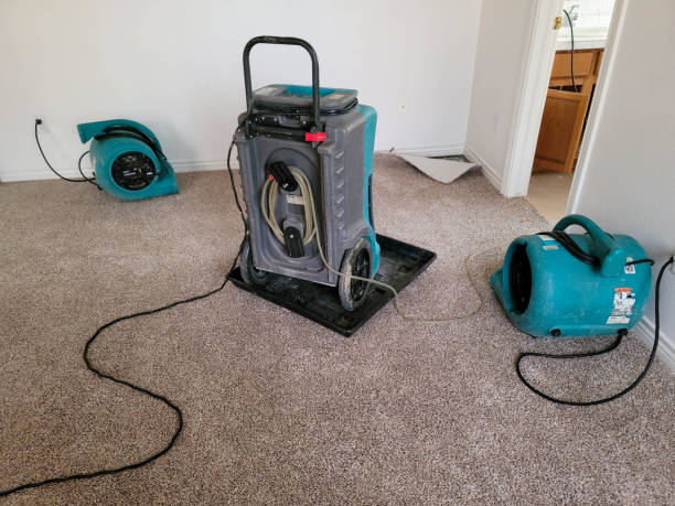 Best Water damage restoration near me  in Dundee, FL