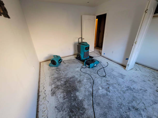 Best Commercial water damage restoration  in Dundee, FL