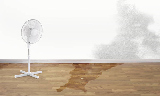 Best 24-hour water damage restoration  in Dundee, FL