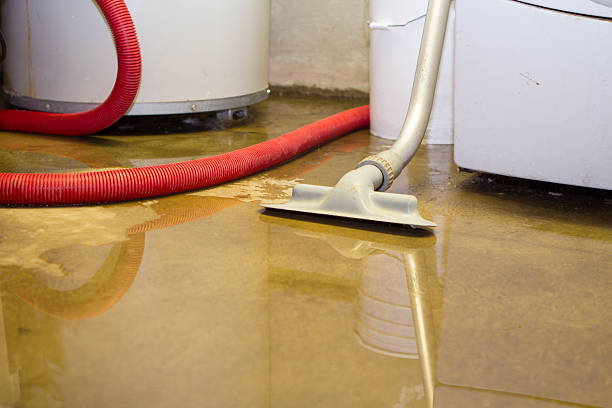 Best Water damage mitigation services  in Dundee, FL