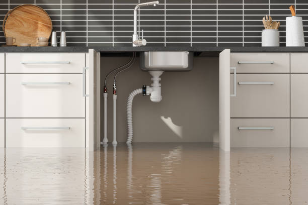 Best Flood restoration services  in Dundee, FL