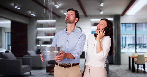 Best Local water damage restoration  in Dundee, FL
